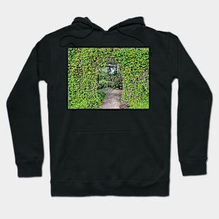 Kula Botanical Gardens Study 46 Hoodie